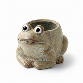 ceramic frog planter small succulent pot cute animal planter home decor