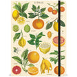 Vintage citrus-themed notebook with botanical illustrations of lemons, oranges, and grapefruits, featuring cream lined pages and an elastic closure.







