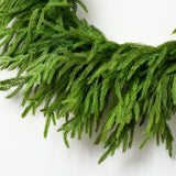 30'' Real Touch Norfolk Pine Christmas Wreath