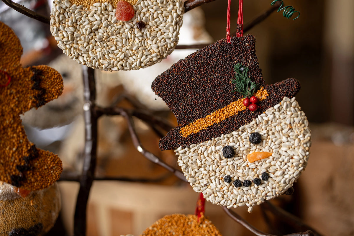 Christmas Cookie Bird Seed Treat | Mr. Bird