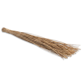 natural dried bamboo cluster decorative botanical stems tall rustic vase filler