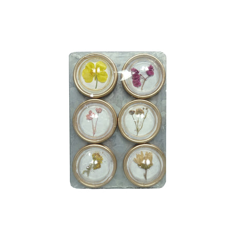 dried botanical flower round fridge magnets by Creative Co-Op