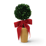Rounded green dried boxwood topiary in a tapered terra-cotta pot with a red velvet bow and trailing ribbon ends.