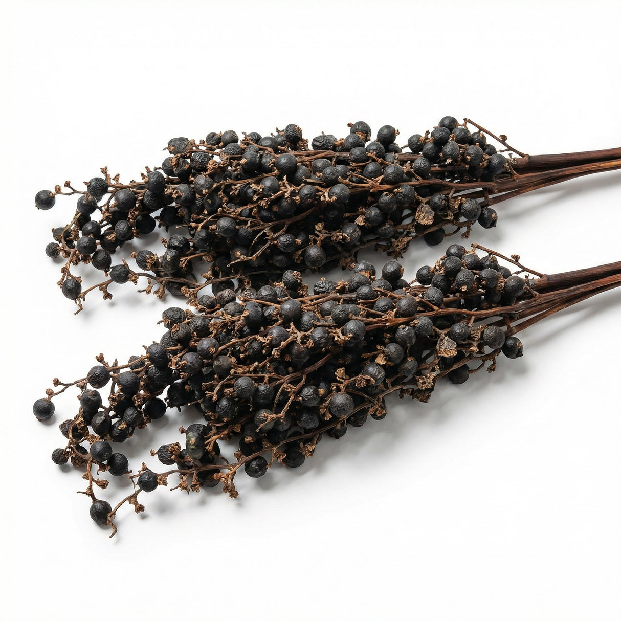 natural dried palm fruit cluster botanical stem rustic dried berry branch decor