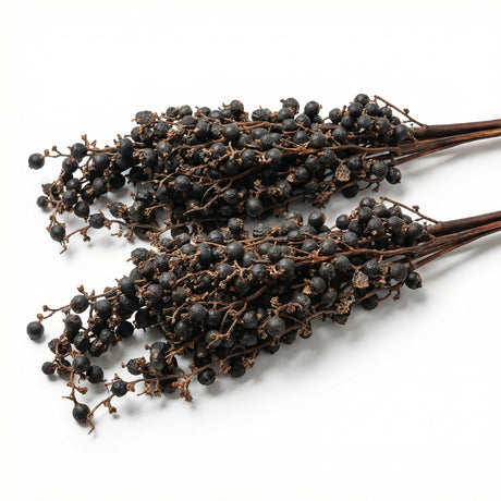 natural dried palm fruit cluster botanical stem rustic dried berry branch decor