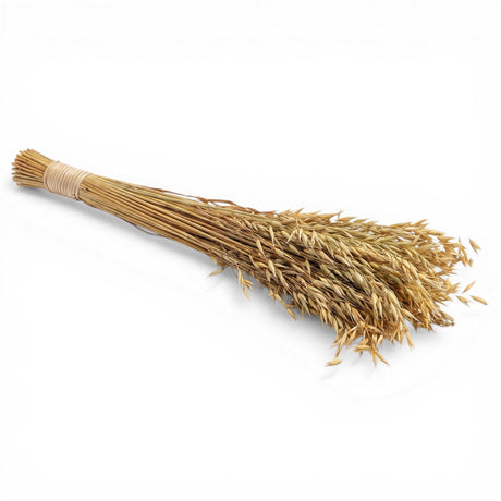 natural dried wild oats bunch decorative botanical stem rustic dried grass arrangement