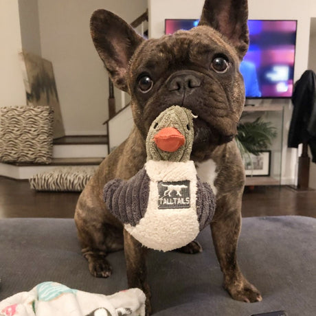 Plush Duckling Squeaker Dog Toy