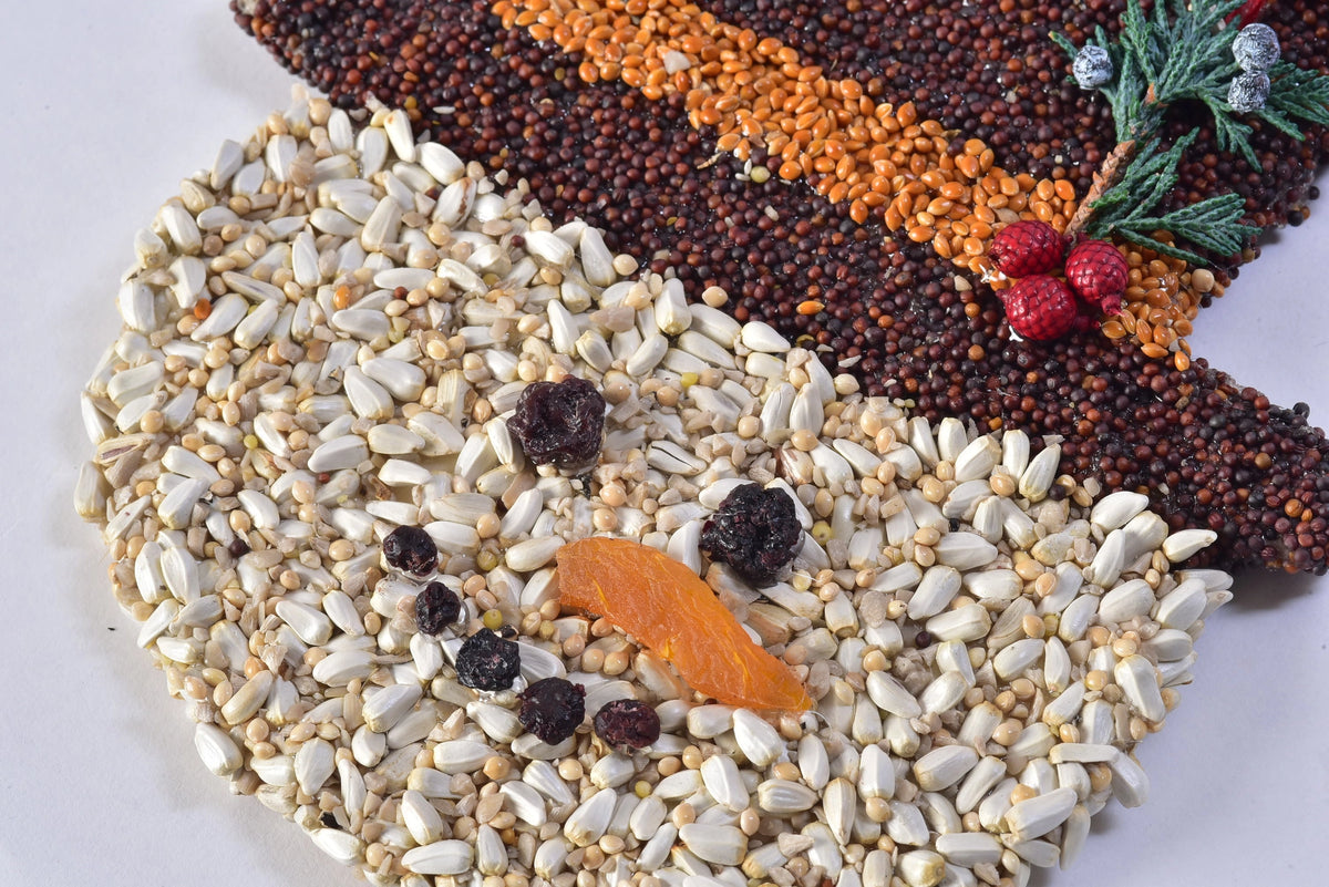Christmas Cookie Bird Seed Treat | Mr. Bird