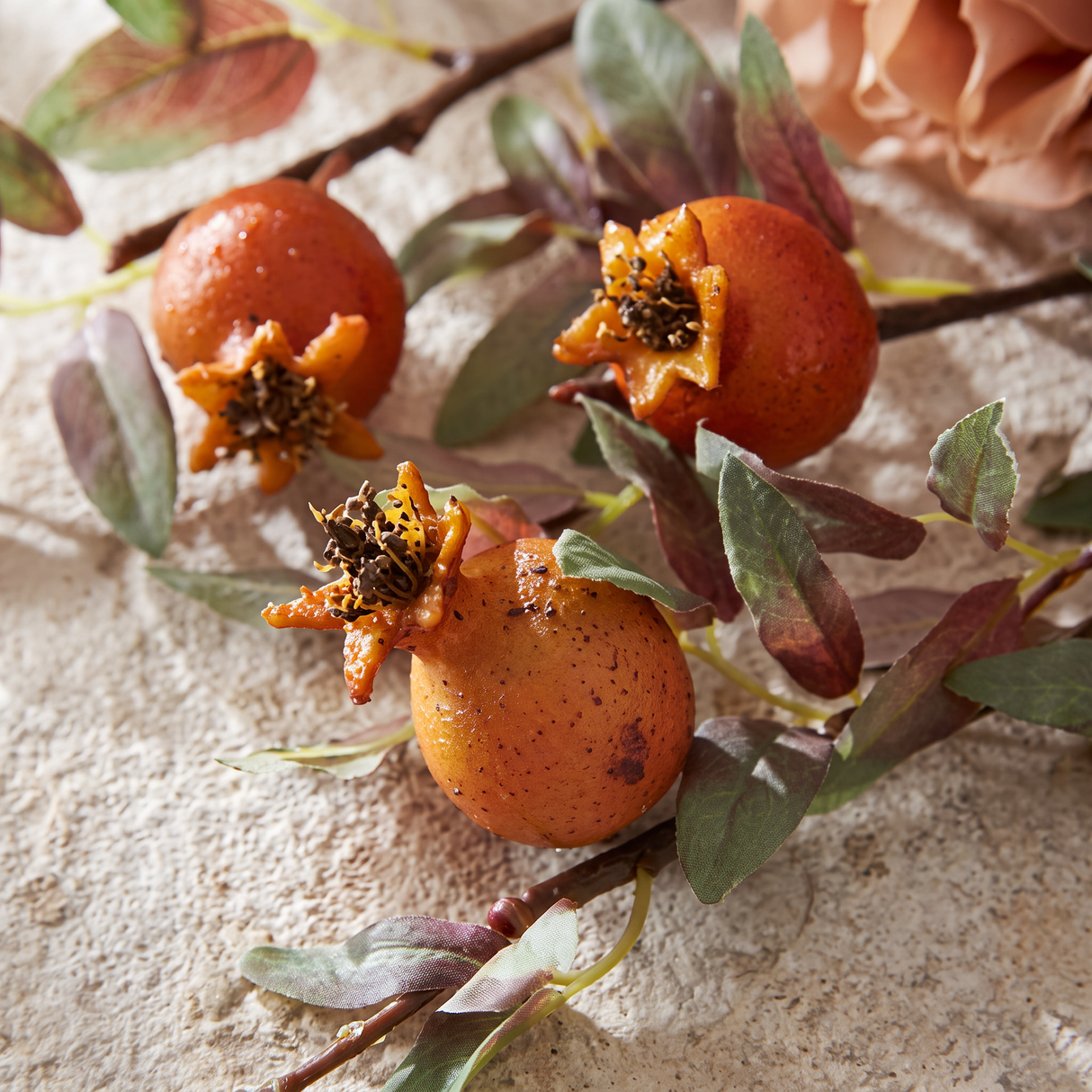 Orange Pomegranate Stem