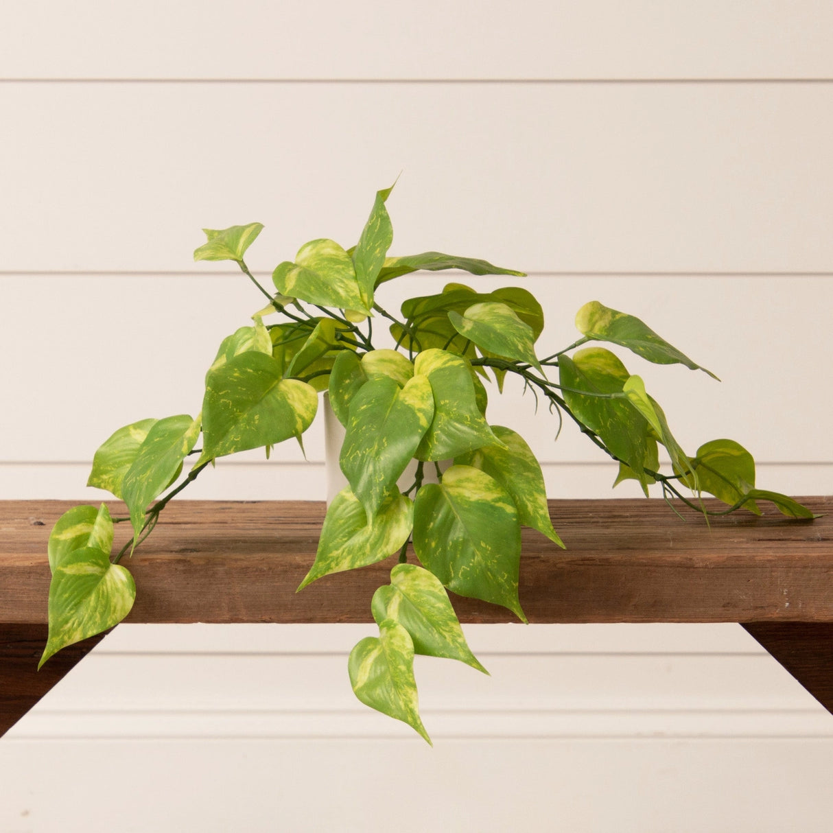 Faux Potted Philodendron Plant