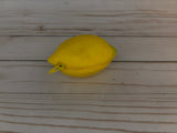 Lemon & Lime Zipper Coin Purse