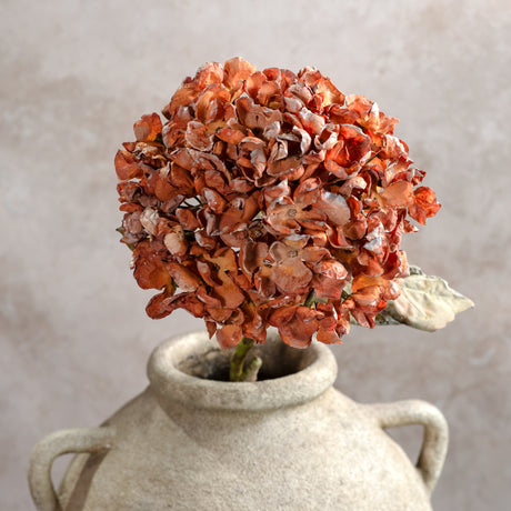 Autumn Orange Hydrangea Branch