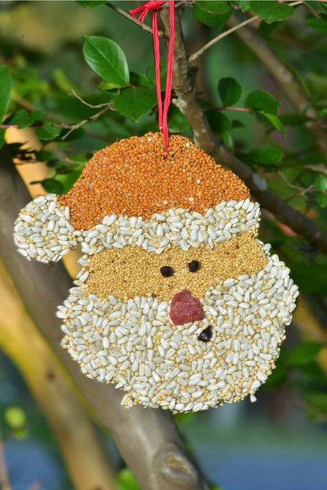 Christmas Cookie Bird Seed Treat | Mr. Bird