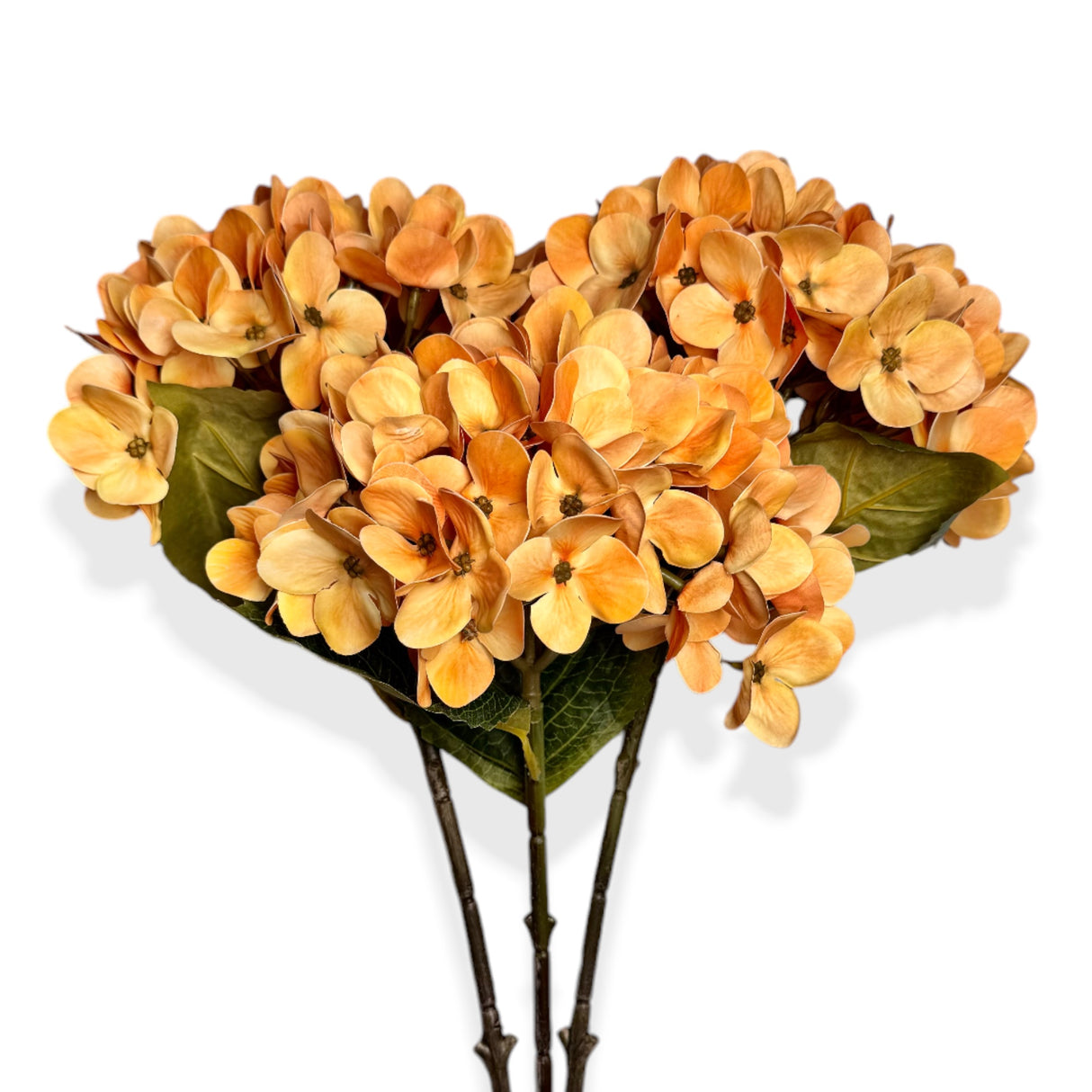 Harvest Orange Hydrangea Stem