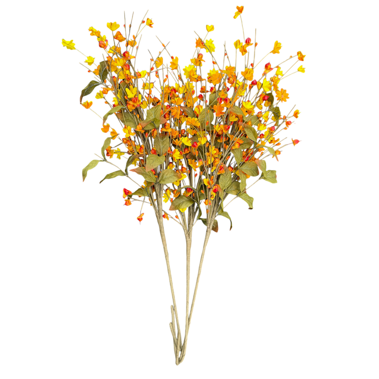 Yellow Wildflower Fall Foliage Stem