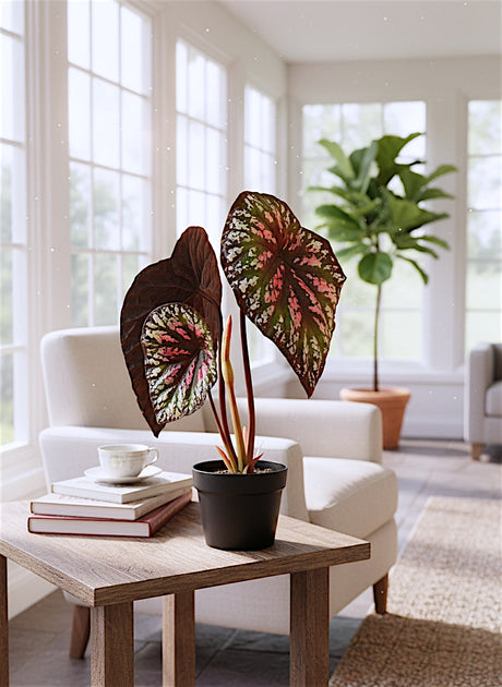 Potted Faux Begonia Plant