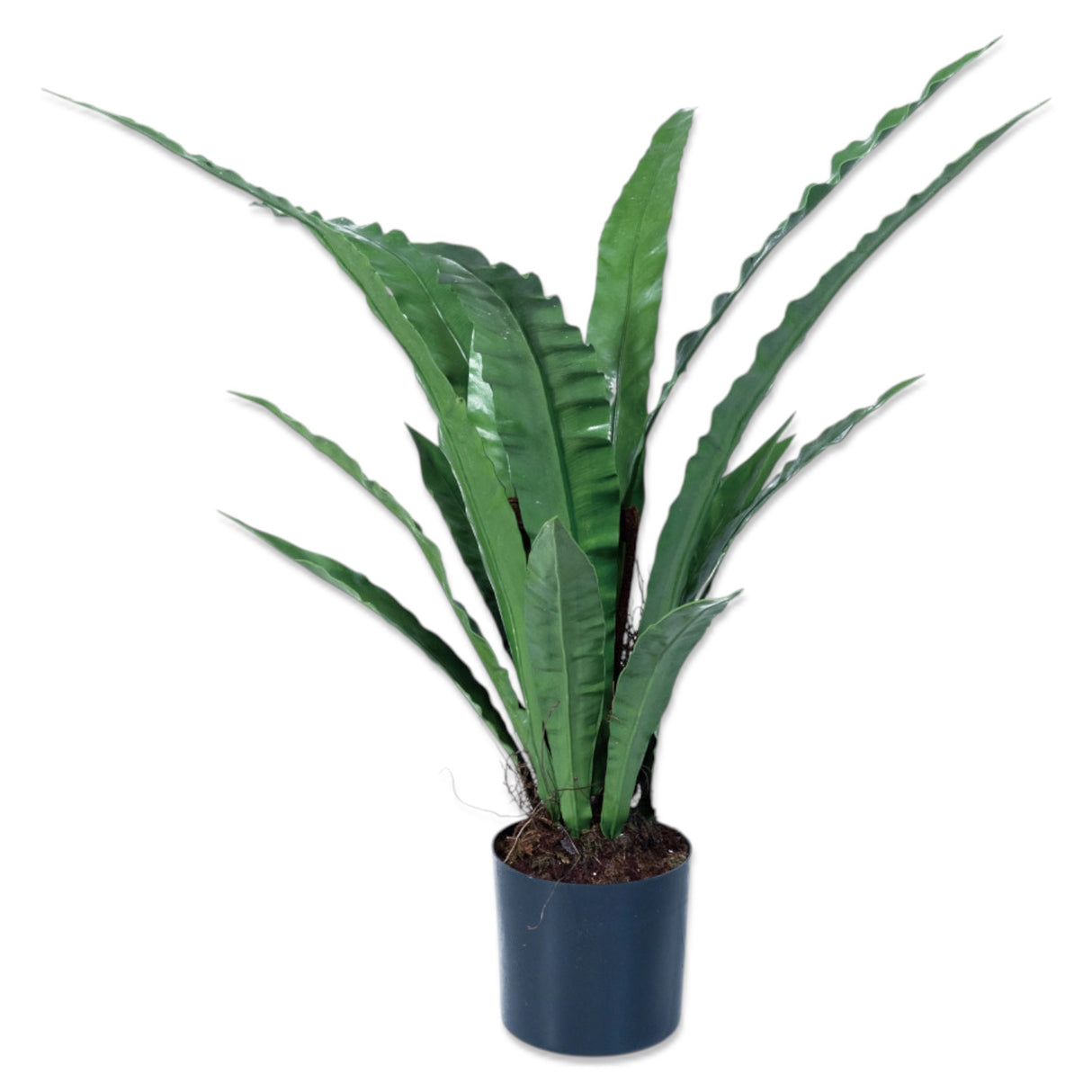 tall faux birds nest fern plant in pot for living room or office decor