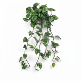 faux pothos hanging vine 42 inch natural touch trailing greenery plant for basket shelf and planter decor