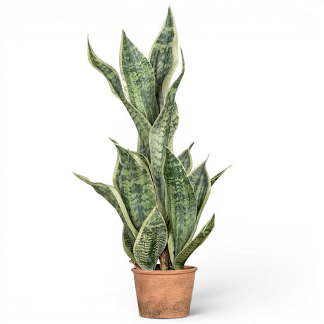 26 inch faux snake plant in pot realistic indoor greenery no maintenance decor