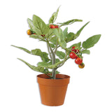 Realistic 13 inch faux tomato plant in pot for kitchen shelf or countertop decor