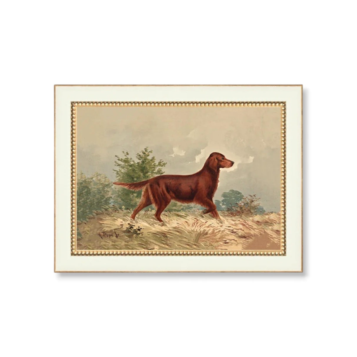 vintage setter dog wall art framed hunting dog print traditional decor by petal lane home
