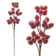 Frosted red berry spray 21 inches tall with branching brown stem and clustered red berries