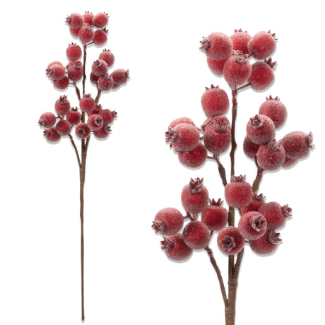 Frosted red berry spray 21 inches tall with branching brown stem and clustered red berries