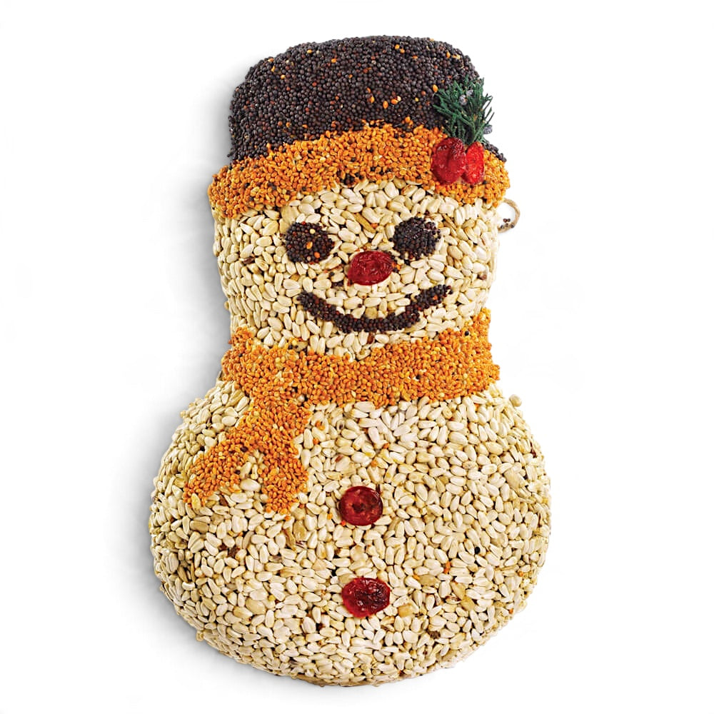  Frosty snowman bird seed feeder made with safflower seed and sunflower hearts, decorated with millet, canola, and dried fruit.
