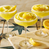 Frozen Limoncello Cocktail Slushi Mix | Noble Mick's