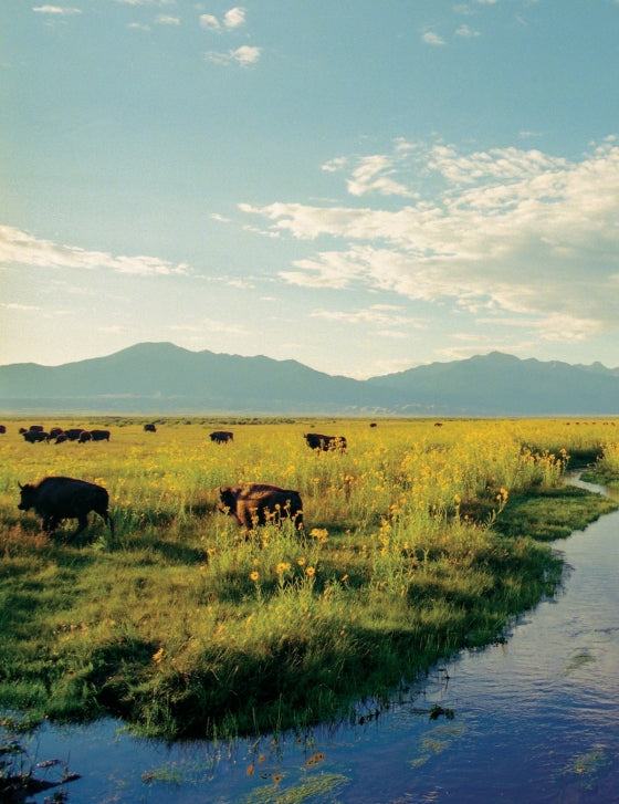 Ranchlands: Ranch, Conserve, Live