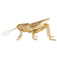 gold grasshopper figurine decorative tabletop accent resin metal insect decor shelf styling piece
