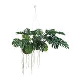 large hanging faux monstera kokedama plant with moss ball