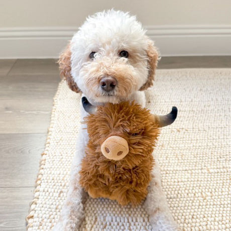 Highland Cow Plush Squeaker Dog Toy