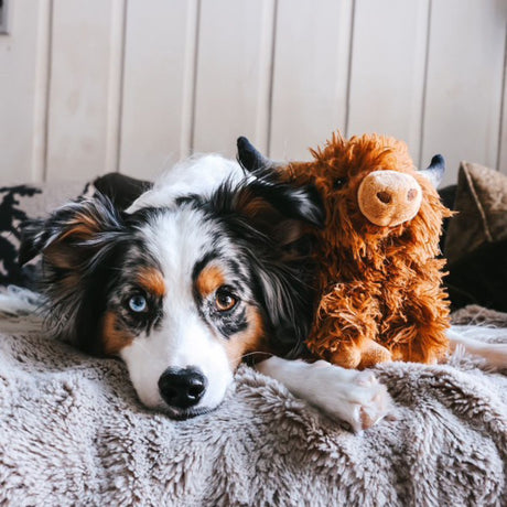 Highland Cow Plush Squeaker Dog Toy