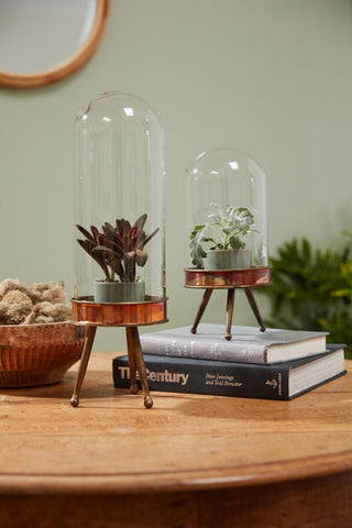 Historic Glass Cloche with Metal Stand
