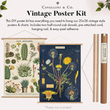 DIY Poster Kit