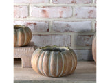 Fall Ombre Cement Pumpkin Planters | 3 Sizes