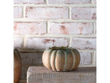 Fall Ombre Cement Pumpkin Planters | 3 Sizes