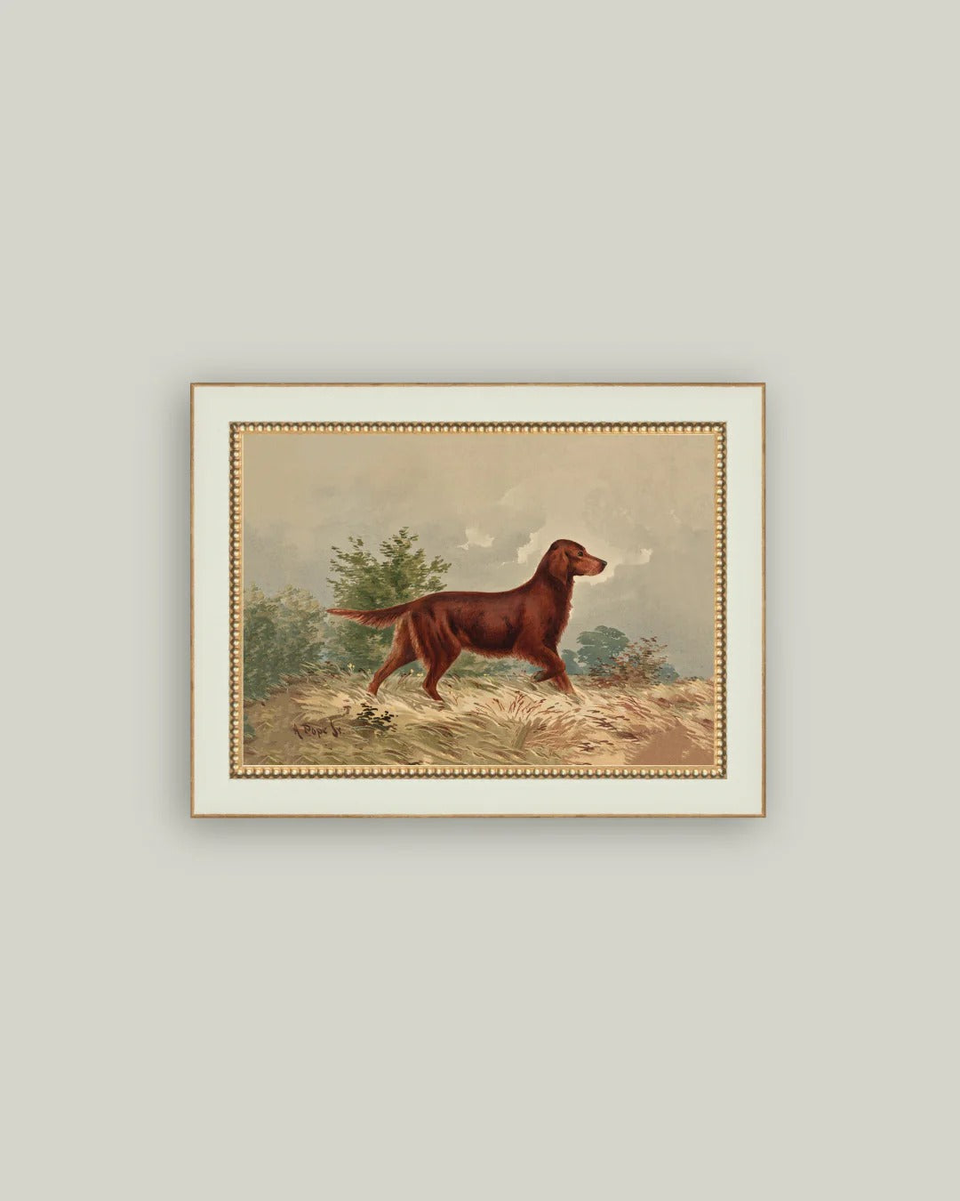 Framed Setter Dog Vintage Art Print