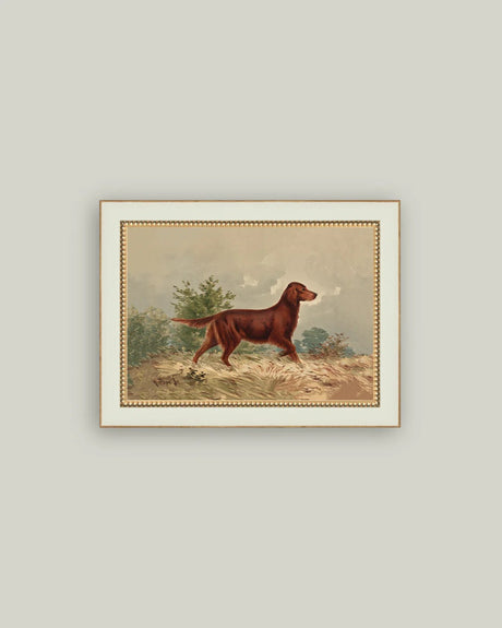 Framed Setter Dog Vintage Art Print