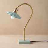 Antique Brass Gooseneck Table Lamp with Enamel Shade