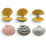 Enameled shell trinket box with jewels coastal jewelry box small shell keepsake box