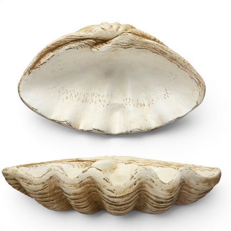 large clamshell decor bowl coastal shell centerpiece textured decorative bowl neutral home decor