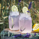 Lavender Lemonade Single-Serve Craft Cocktail Mix | Noble Mick's