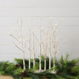 LED birch tree forest tabletop décor with warm lights and white branches, perfect for seasonal or year-round