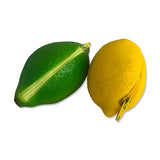 Lemon and lime zipper coin purse novelty citrus pouch
