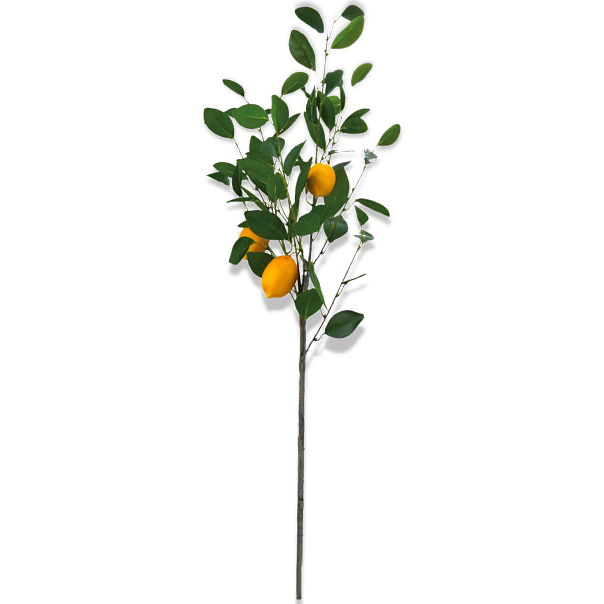 Faux Lemon Tree Branch Stem – Rust & Cinder