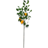 artifiical lemon tree branch by Creative Co-Op