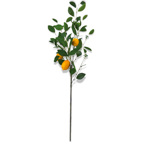 artifiical lemon tree branch by Creative Co-Op