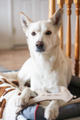 Natural Leather Antler Dog Toy